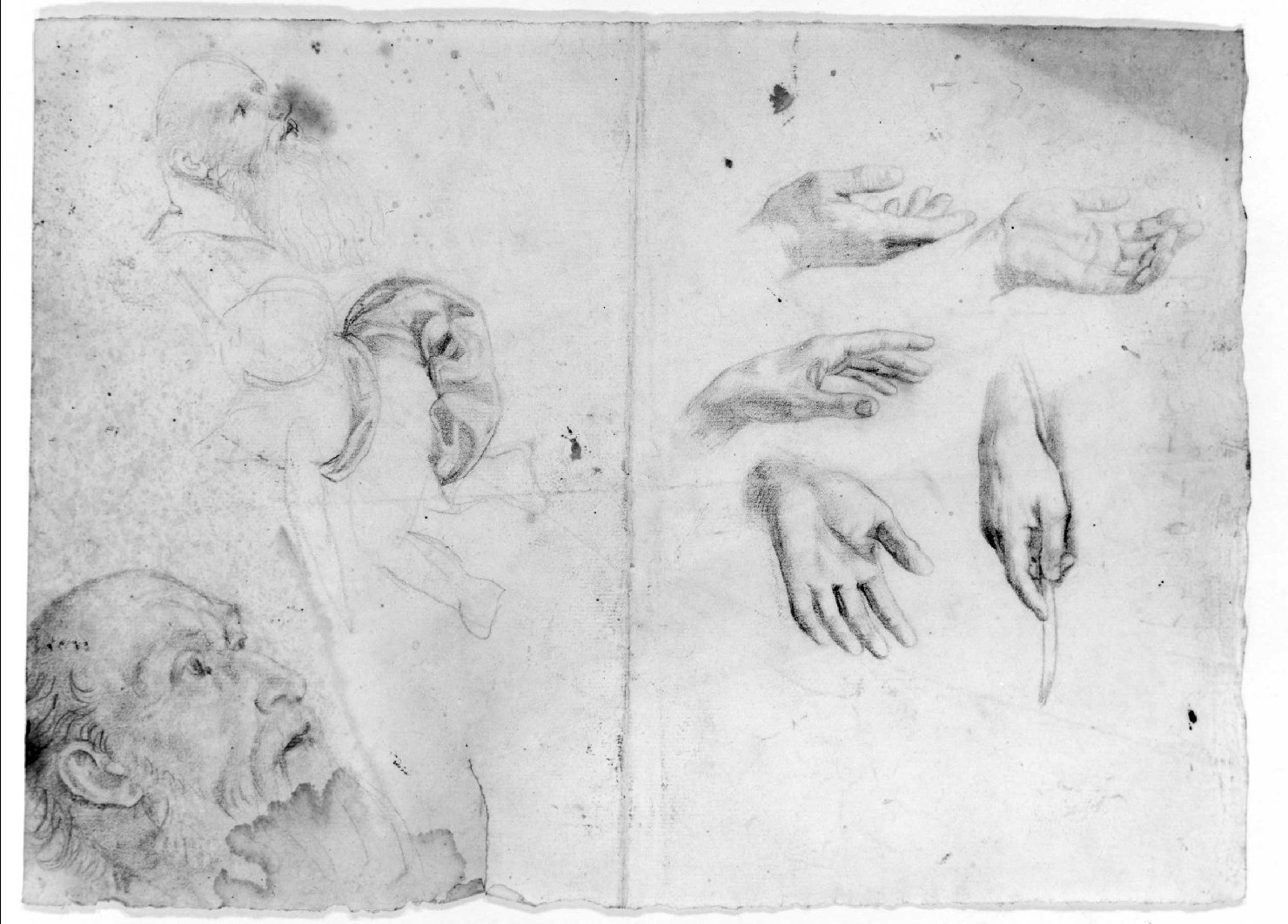 testa d'uomo, mano e panneggio (disegno) di Recchia Angelo (attribuito) (metà sec. XIX)