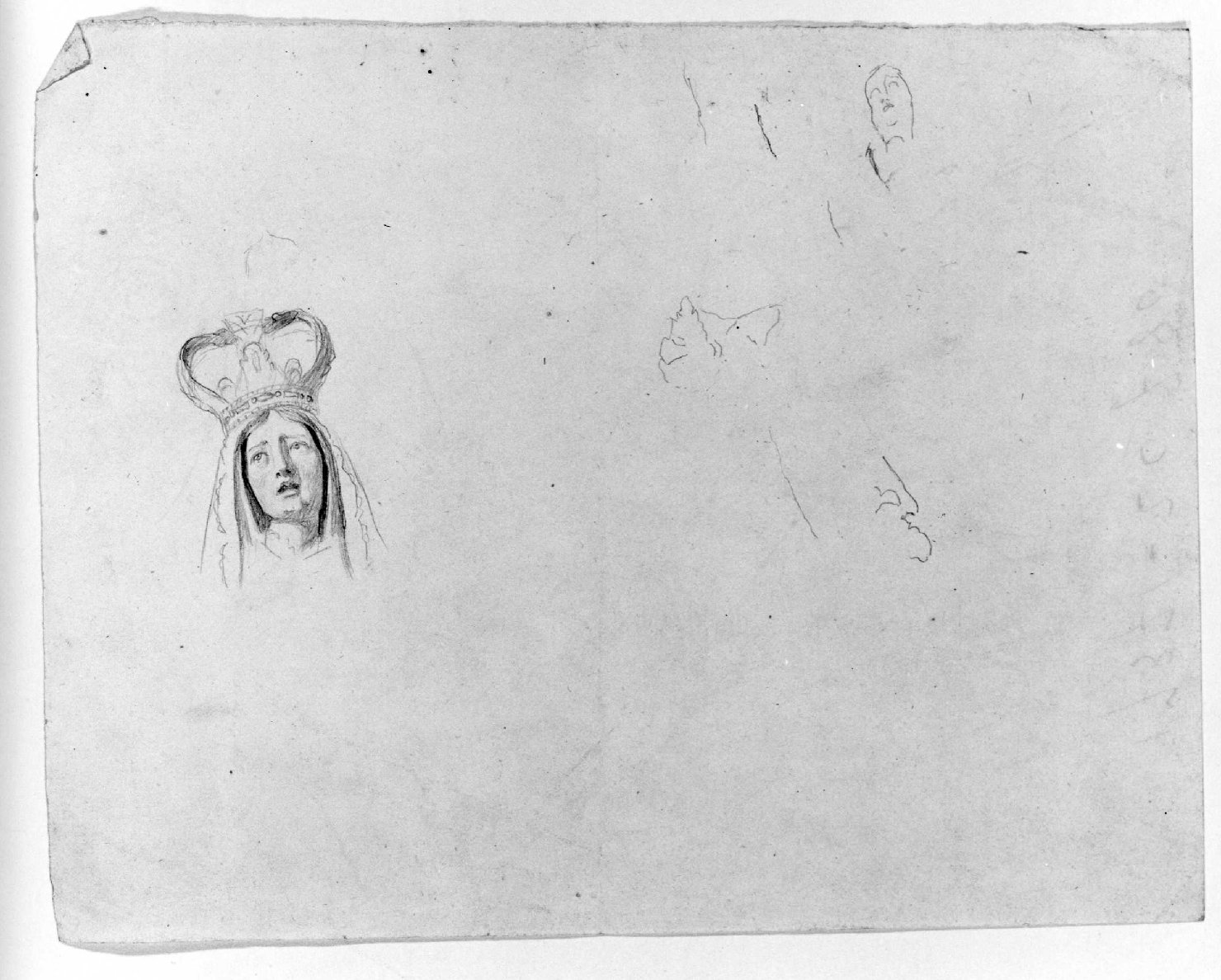 testa di Madonna (disegno) di Recchia Angelo (attribuito) (metà sec. XIX)