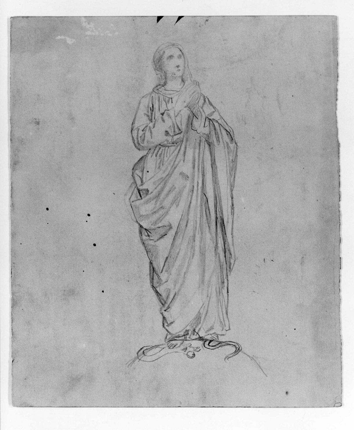 Immacolata Concezione (disegno) di Recchia Angelo (attribuito) (metà sec. XIX)