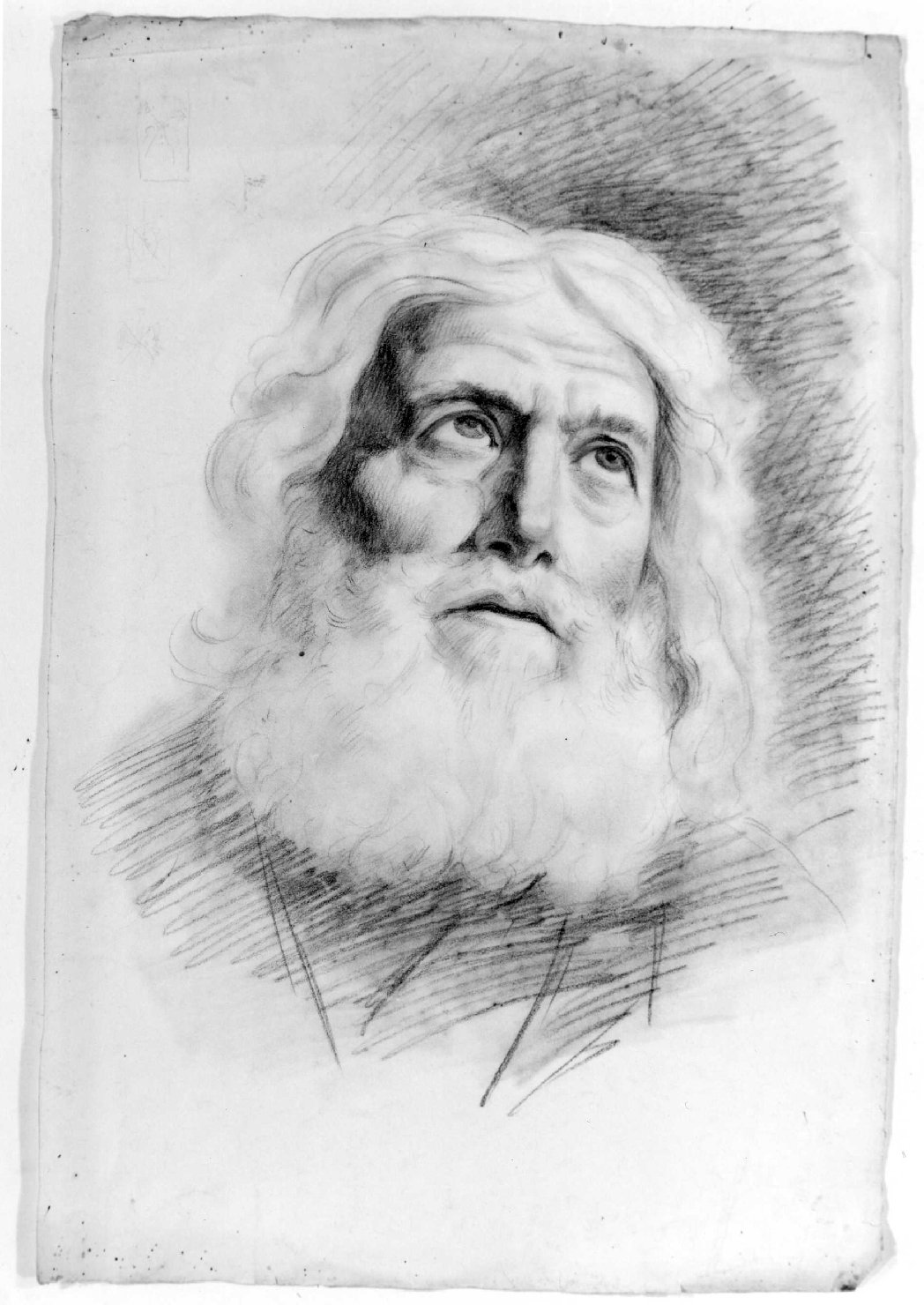 testa d'uomo con barba (disegno) di Recchia Angelo (metà sec. XIX)