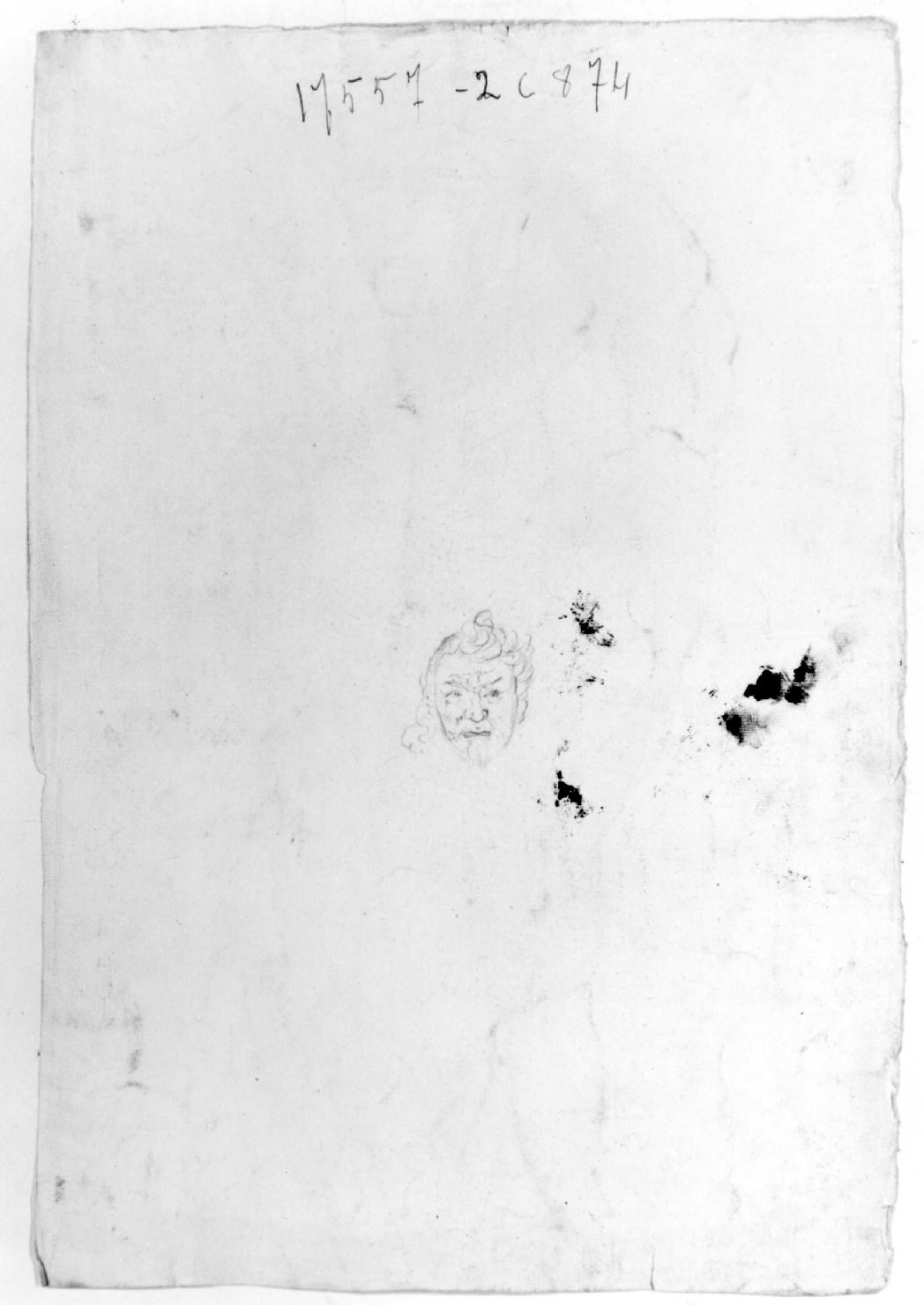 testa di satiro (disegno) di Recchia Angelo (attribuito) (metà sec. XIX)