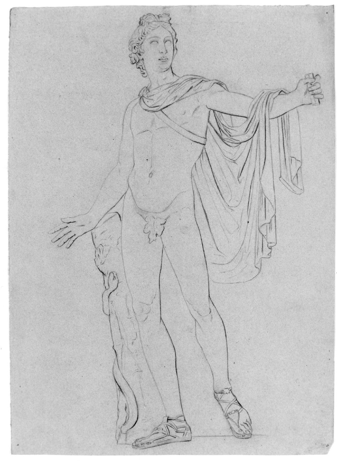 Apollo (disegno) di Recchia Angelo (metà sec. XIX)