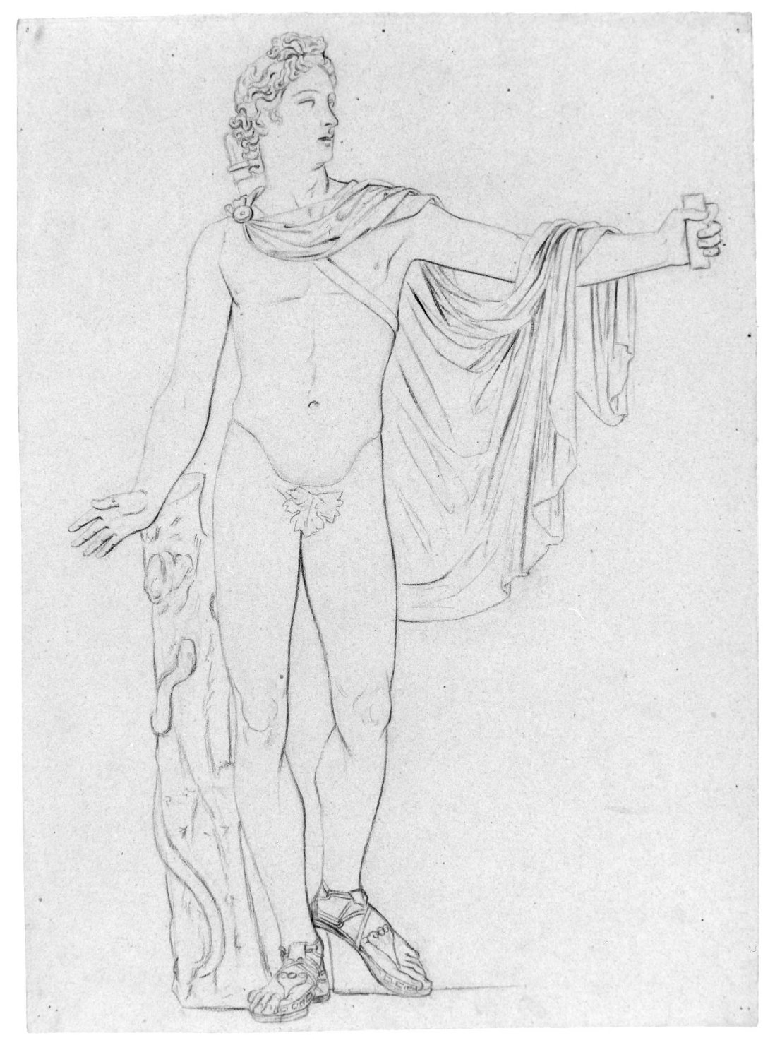 Apollo (disegno) di Recchia Angelo (metà sec. XIX)