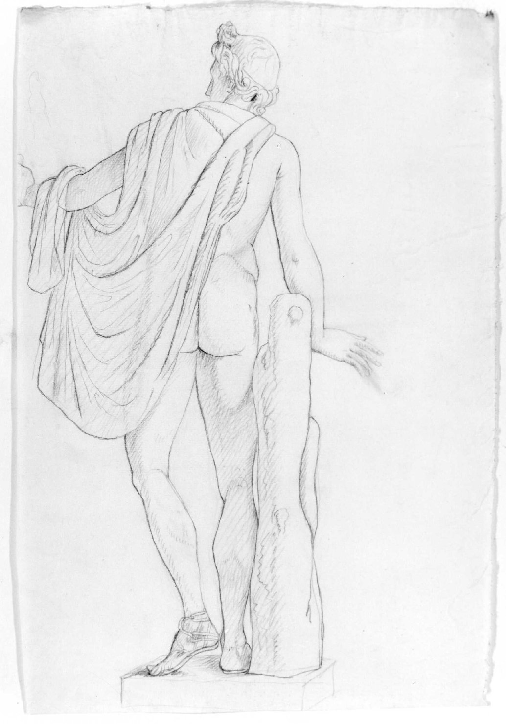 Apollo (disegno) di Recchia Angelo (metà sec. XIX)