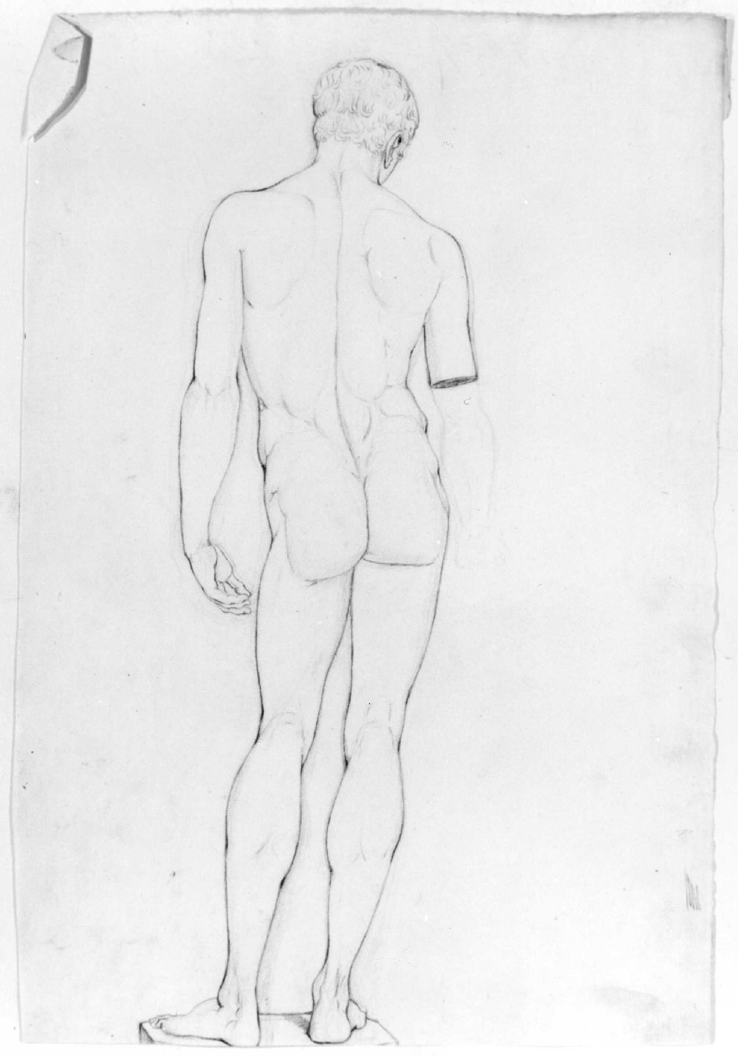 figura maschile nuda (disegno) di Recchia Angelo (metà sec. XIX)