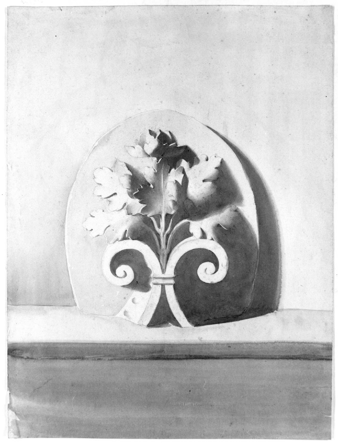 motivo decorativo a volute (disegno) di Belloni Elisa (fine sec. XIX)