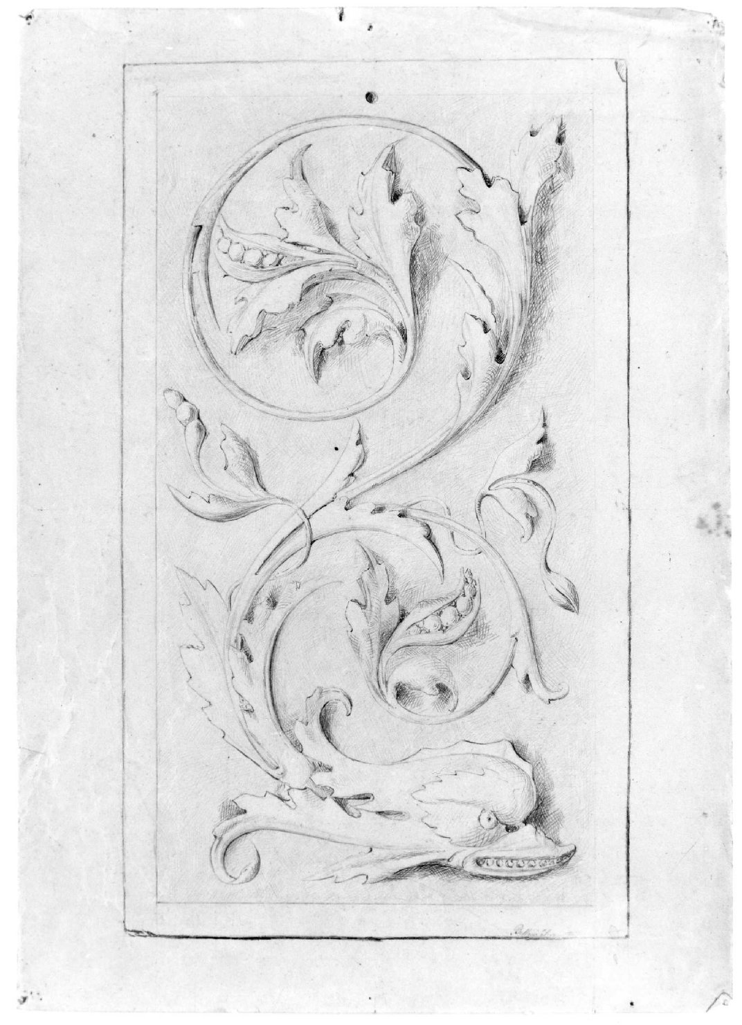 motivi decorativi vegetali (disegno) di Belloni Elisa (fine sec. XIX)