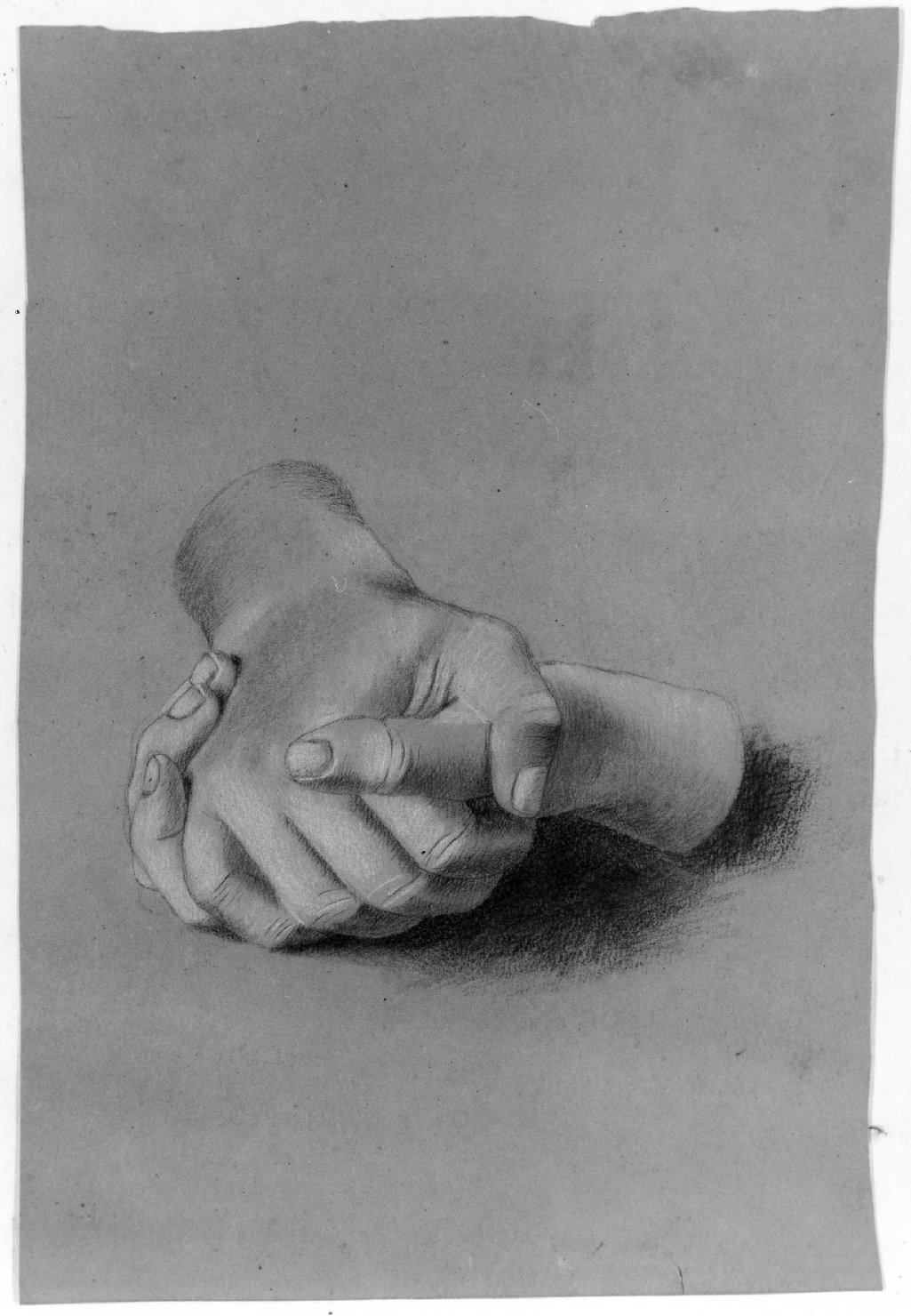 mani (disegno) di Belloni Elisa (fine sec. XIX)
