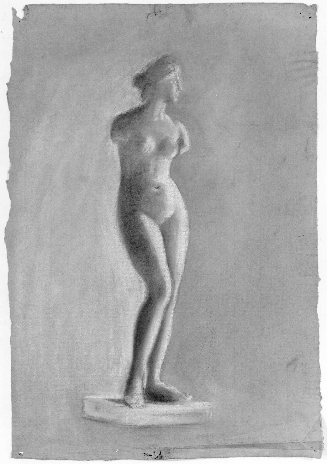 Venere (disegno) di Belloni Elisa (fine sec. XIX)