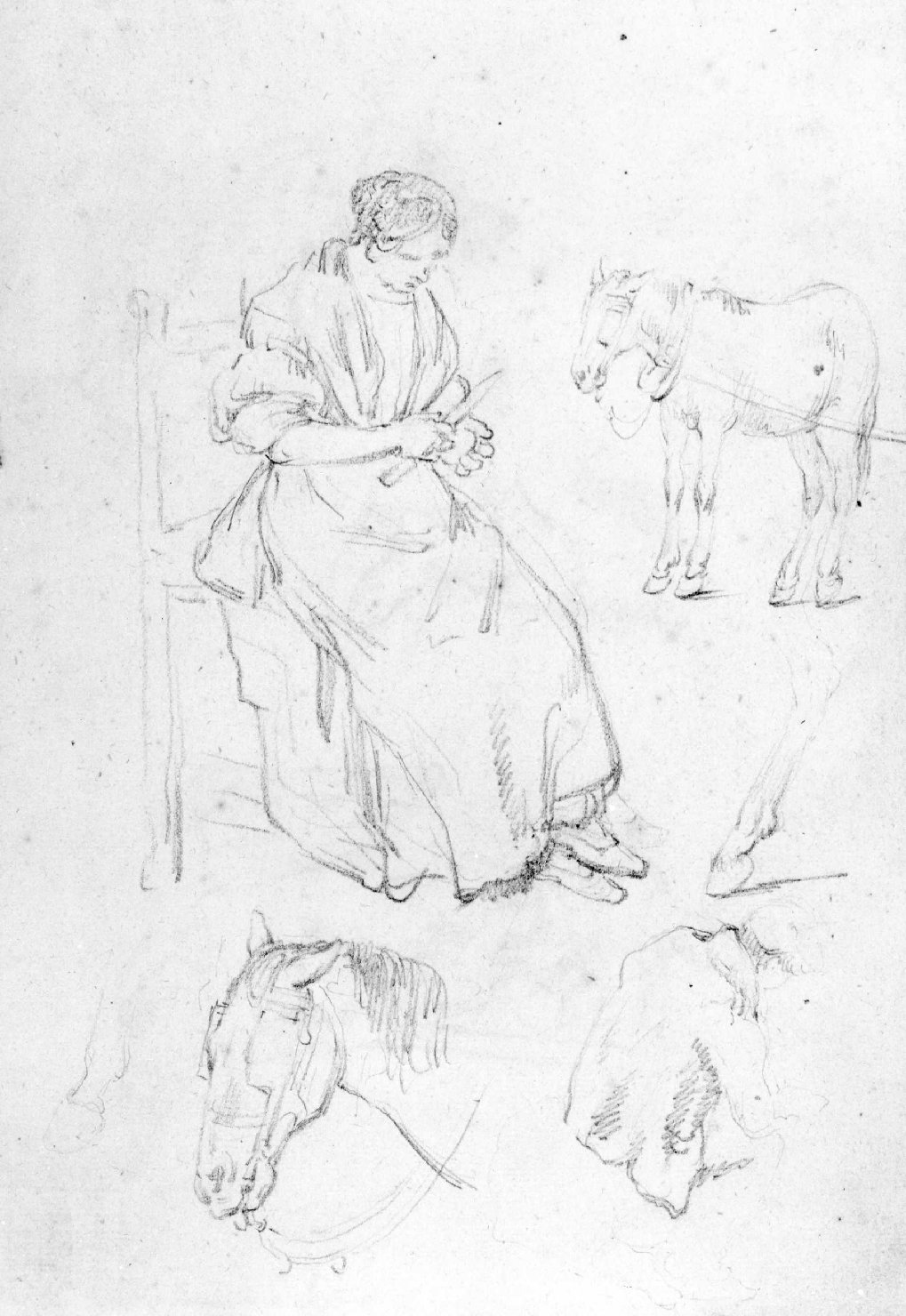 figure, cavalli (disegno) di Recchia Angelo (seconda metà sec. XIX)