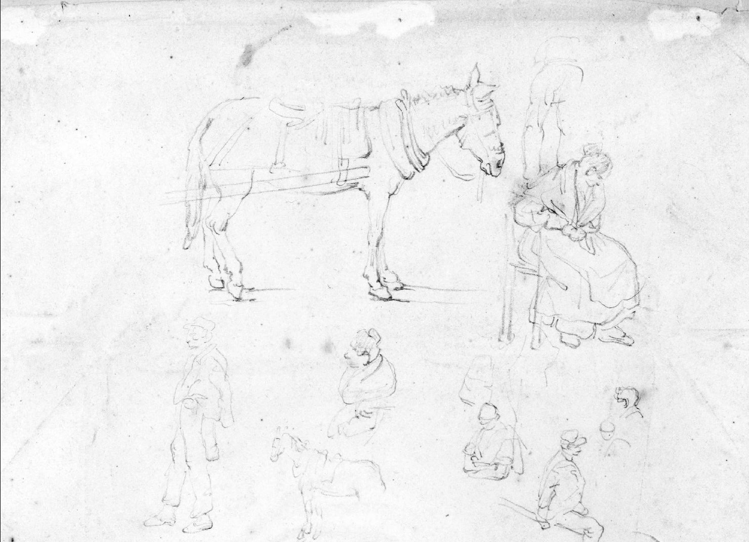 figure, cavalli (disegno) di Recchia Angelo (seconda metà sec. XIX)