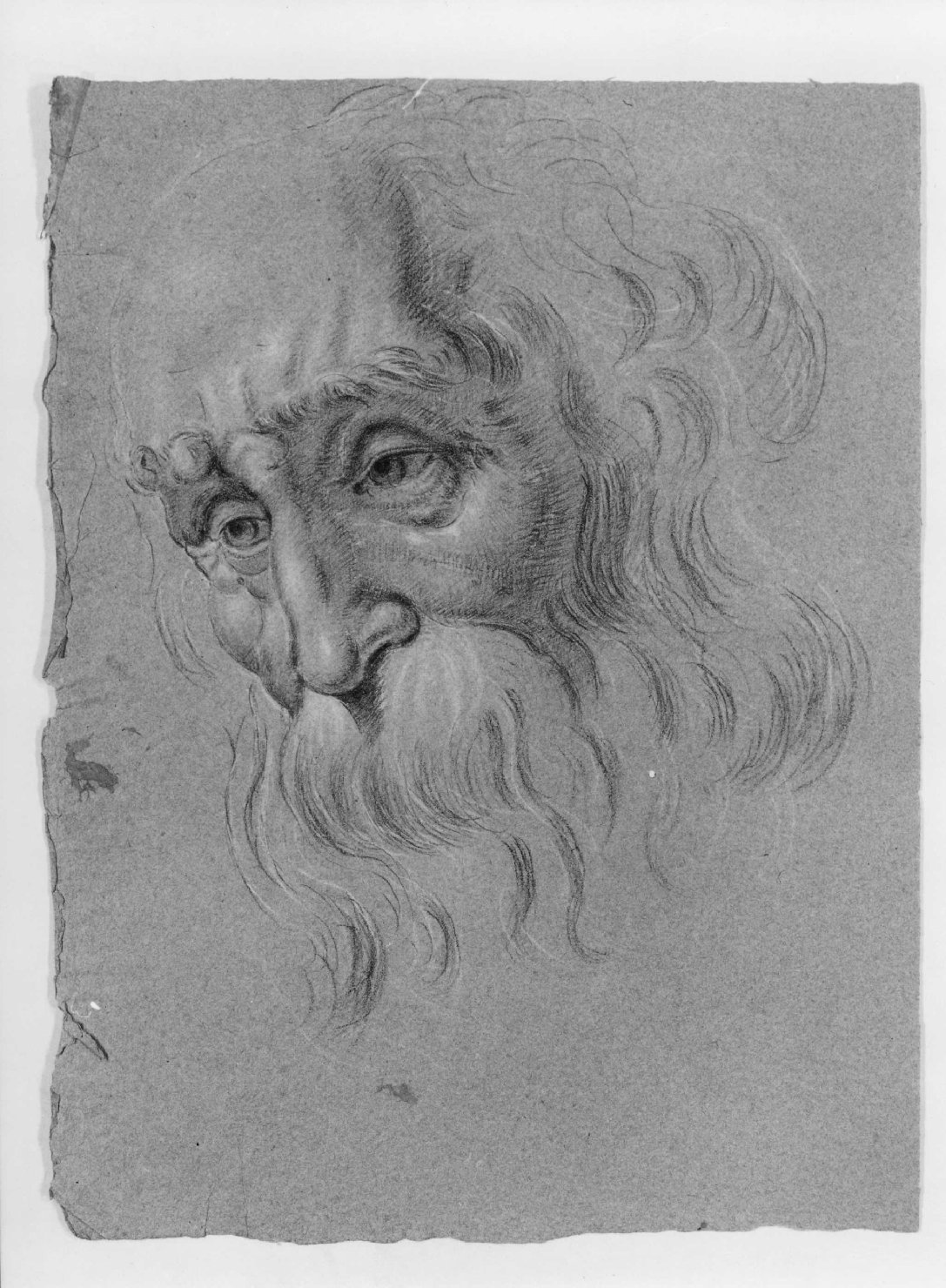 testa di vecchio (disegno) di Cartolari Fabrizio (secc. XVIII/ XIX)