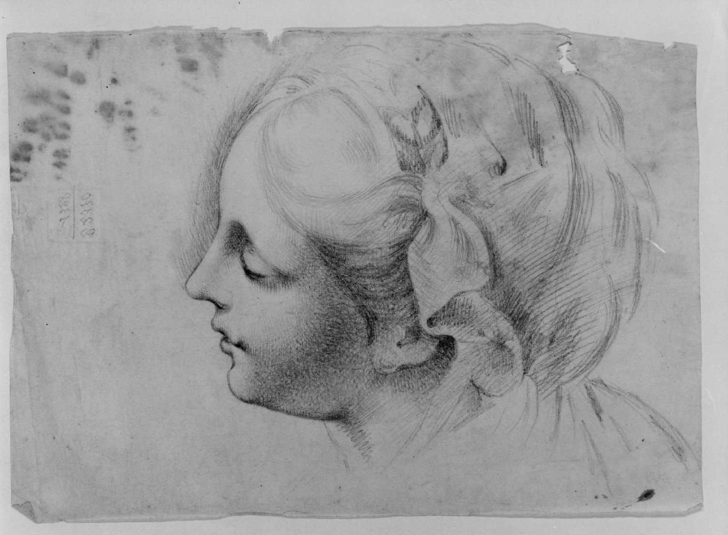 testa di fanciulla (disegno) di Cartolari Fabrizio (secc. XVIII/ XIX)