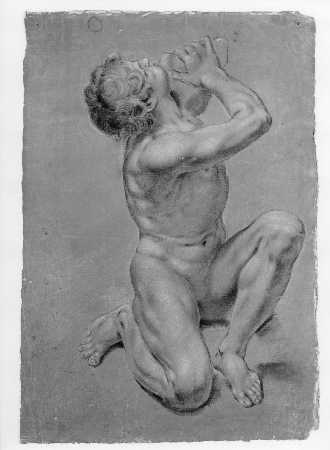 nudo virile (disegno) di Cartolari Fabrizio (secc. XVIII/ XIX)