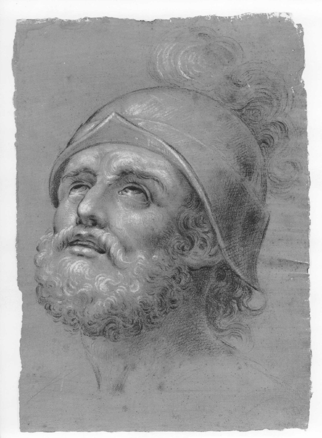 testa di guerriero (disegno) di Cartolari Fabrizio (secc. XVIII/ XIX)