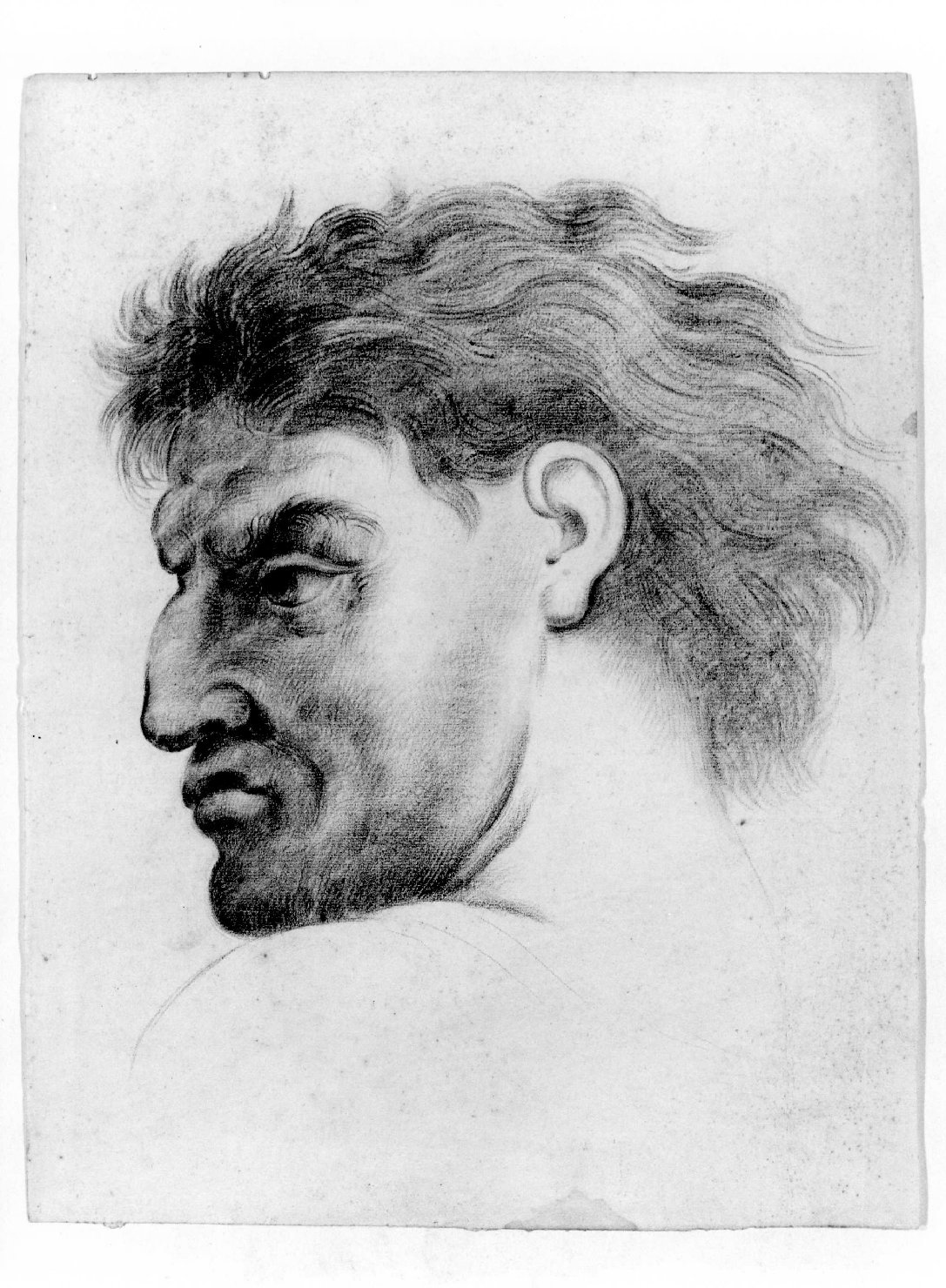 testa d'uomo di profilo (disegno) di Cartolari Fabrizio (secc. XVIII/ XIX)