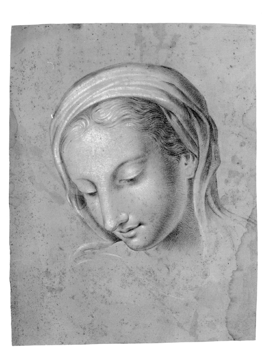 testa di donna (disegno) di Cartolari Fabrizio (secc. XVIII/ XIX)