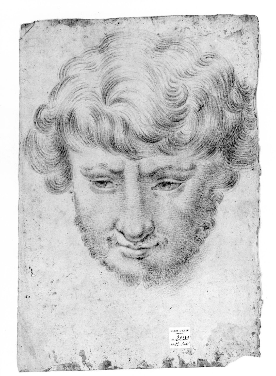 testa d'uomo con barba (disegno) di Cartolari Fabrizio (secc. XVIII/ XIX)