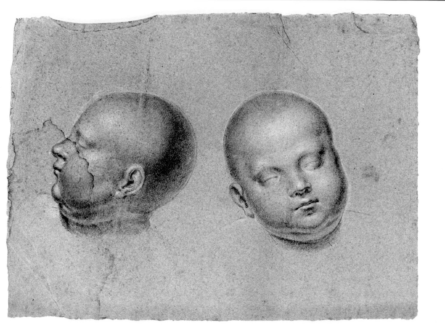 teste di bambino (disegno) di Cartolari Fabrizio (secc. XVIII/ XIX)