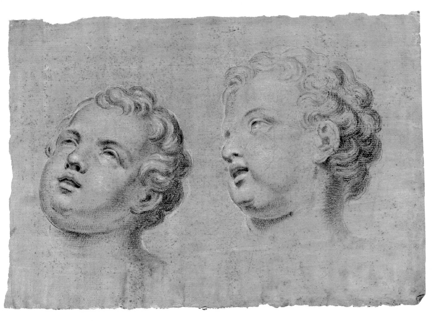 teste di bambino (disegno) di Cartolari Fabrizio (secc. XVIII/ XIX)