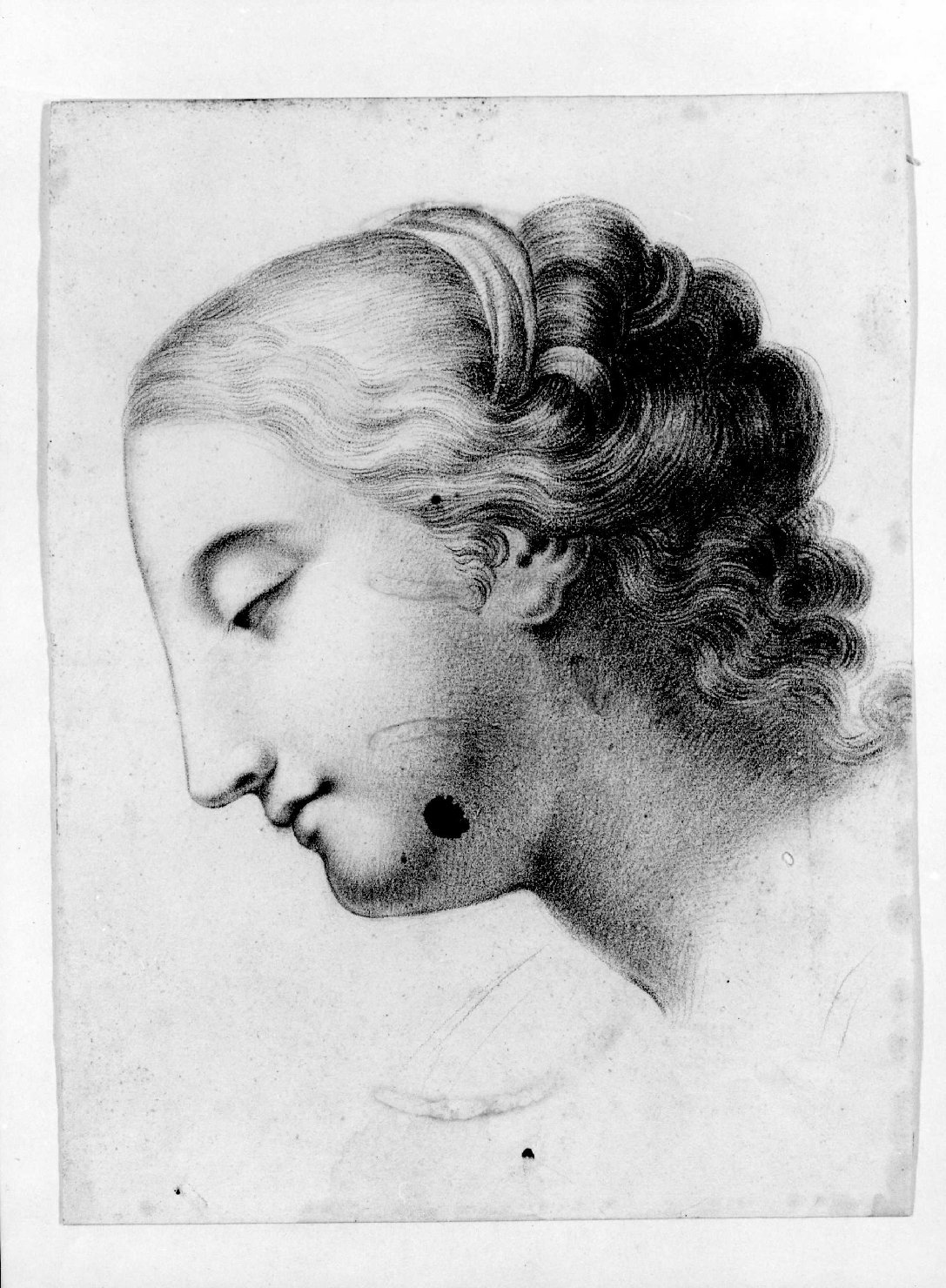 testa di donna (disegno) di Cartolari Fabrizio (secc. XVIII/ XIX)