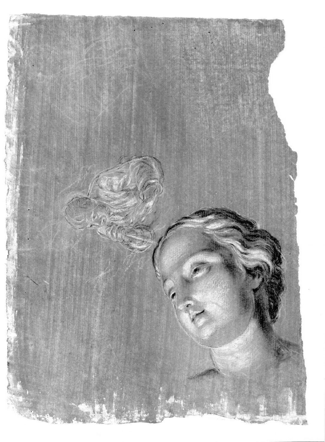 testa di donna e busto di uomo (disegno) di Cartolari Fabrizio (secc. XVIII/ XIX)