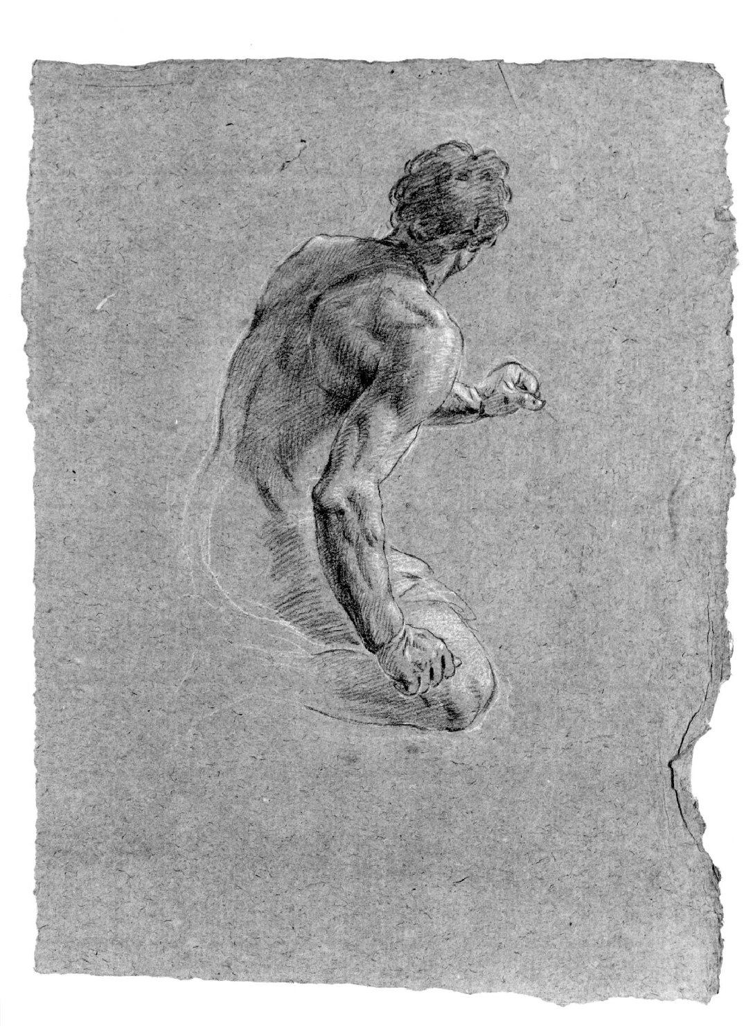 figura maschile nuda (disegno) di Cartolari Fabrizio (secc. XVIII/ XIX)
