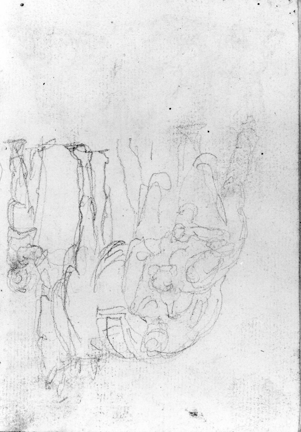 figure, cavallo (disegno, serie) di Canella Carlo (prima metà sec. XIX)