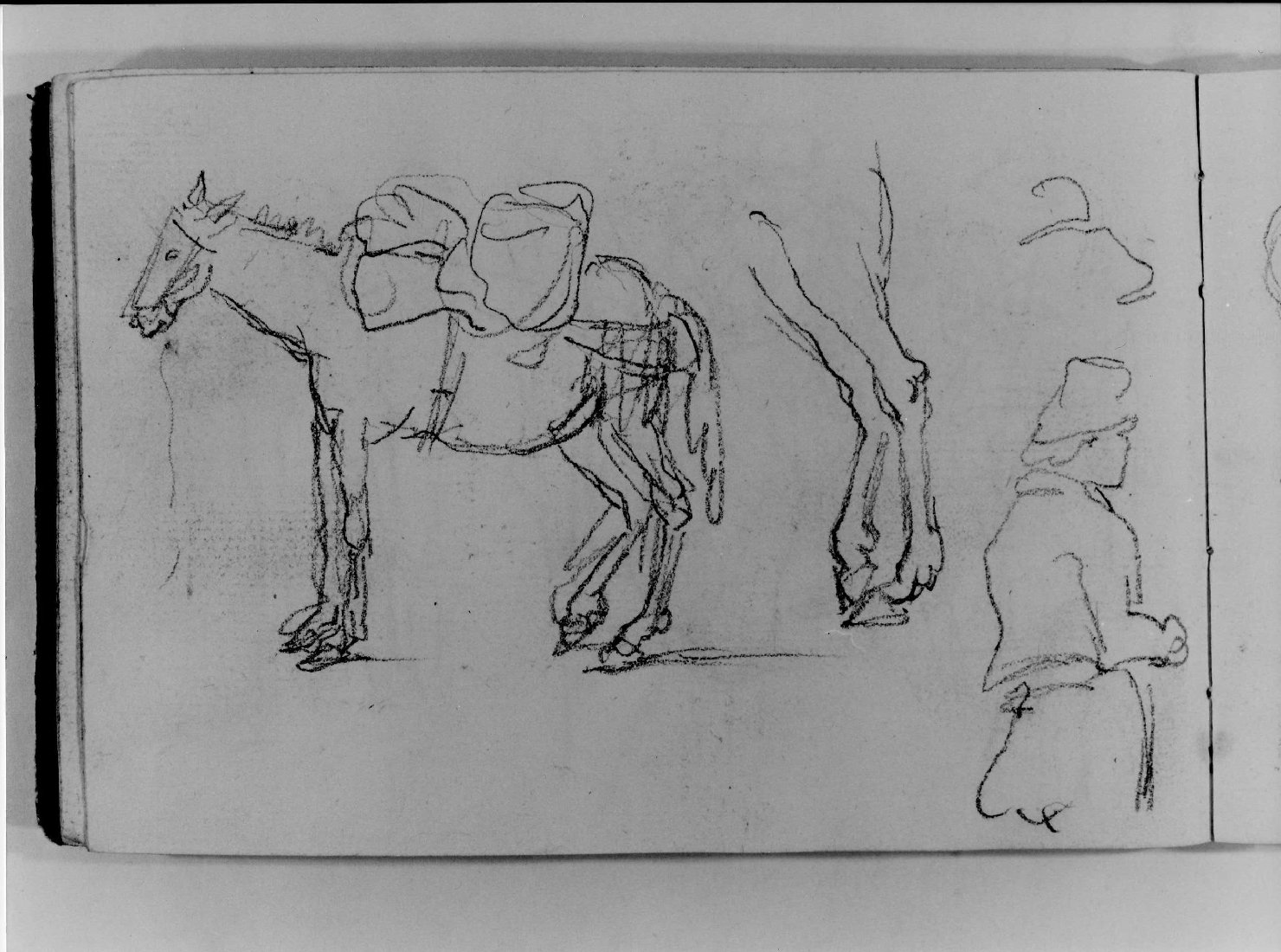 figure, cavallo (disegno, serie) di Canella Carlo (prima metà sec. XIX)