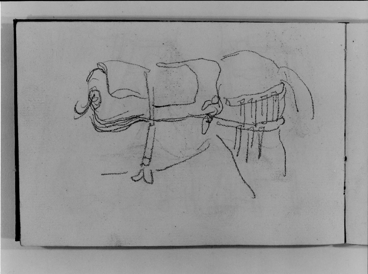 cavallo (disegno, serie) di Canella Carlo (prima metà sec. XIX)