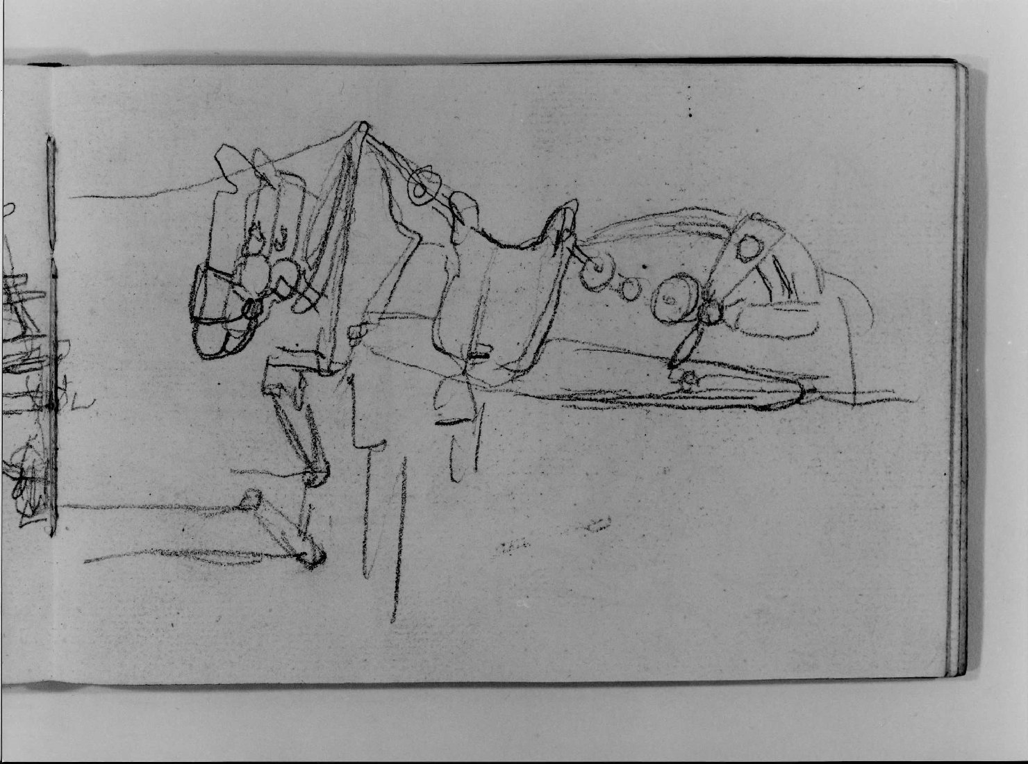 cavallo (disegno, serie) di Canella Carlo (prima metà sec. XIX)