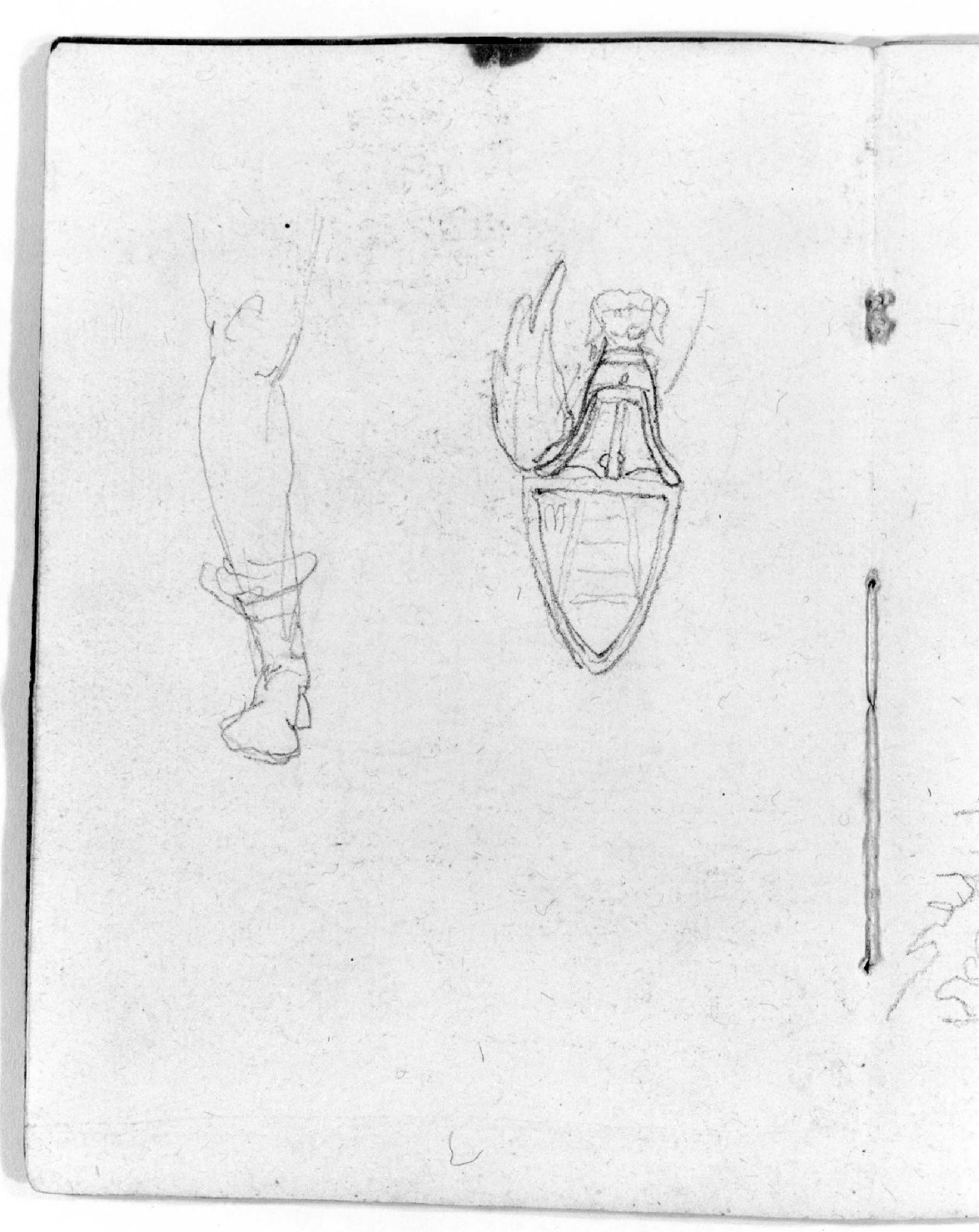 scarpa e stemma (disegno, serie) di Canella Giuseppe (prima metà sec. XIX)
