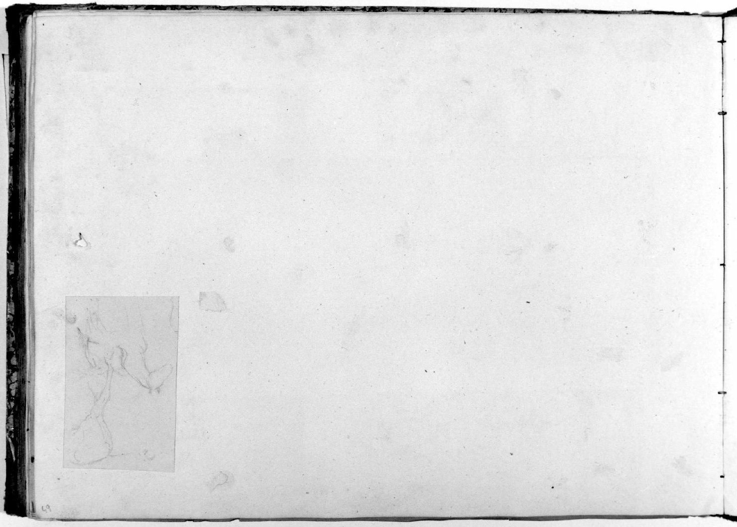 cavalli (disegno, serie) di Recchia Angelo (metà sec. XIX)