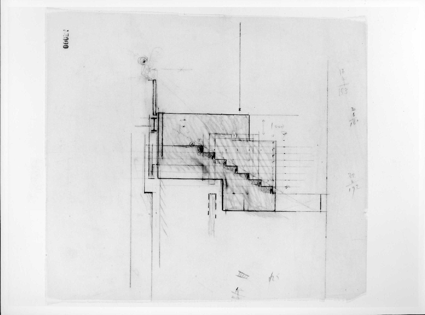 statua equestre di Cangrande I della Scala al Museo di Castelvecchio di Verona (disegno) di Scarpa Carlo (sec. XX)