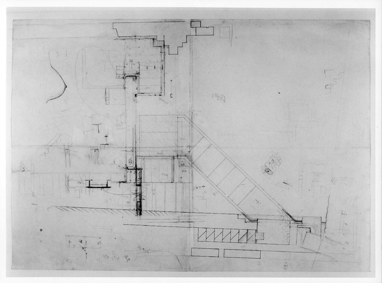 statua equestre di Cangrande I della Scala al Museo di Castelvecchio di Verona (disegno preparatorio) di Scarpa Carlo (sec. XX)