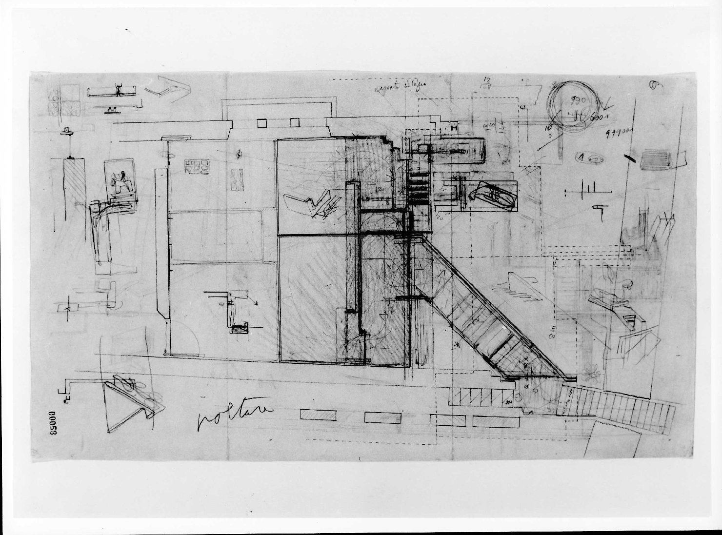 statua equestre di Cangrande I della Scala al Museo di Castelvecchio di Verona (disegno) di Scarpa Carlo (sec. XX)