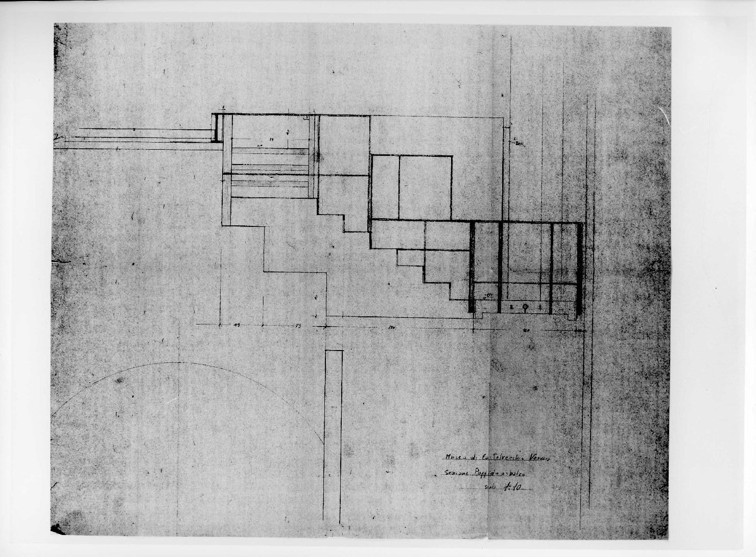 statua equestre di Cangrande I della Scala al Museo di Castelvecchio di Verona (disegno) di Rudella Angelo (sec. XX)