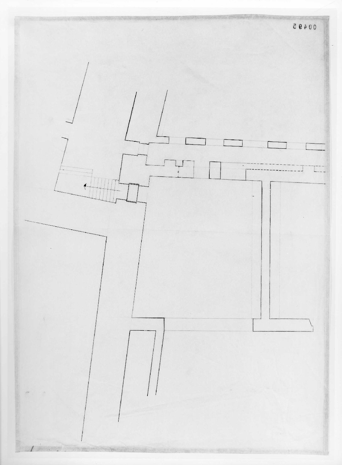 statua equestre di Cangrande I della Scala al Museo di Castelvecchio di Verona (disegno) di Rudella Angelo (sec. XX)