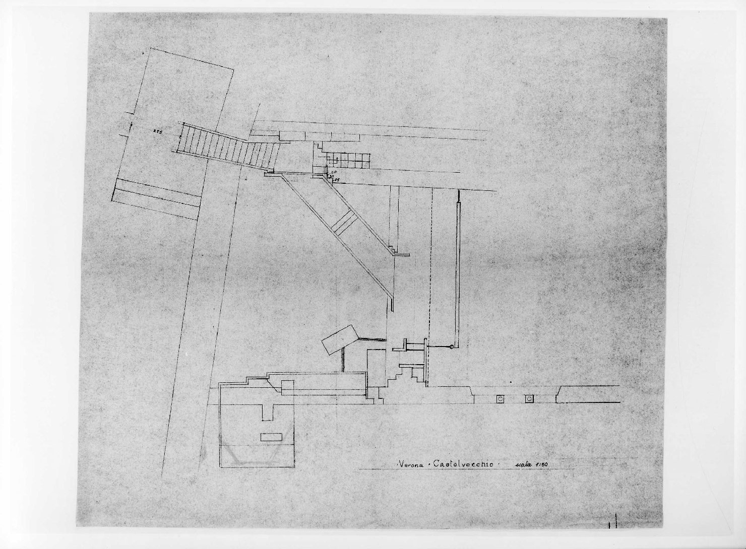 statua equestre di Cangrande I della Scala al Museo di Castelvecchio di Verona (disegno) di Scarpa Carlo (sec. XX)