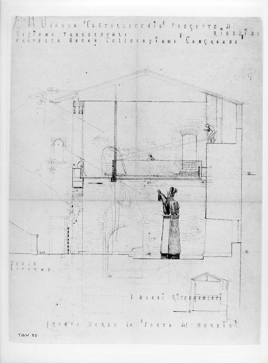 statua equestre di Cangrande I della Scala al Museo di Castelvecchio di Verona (disegno) di Scarpa Carlo (sec. XX)