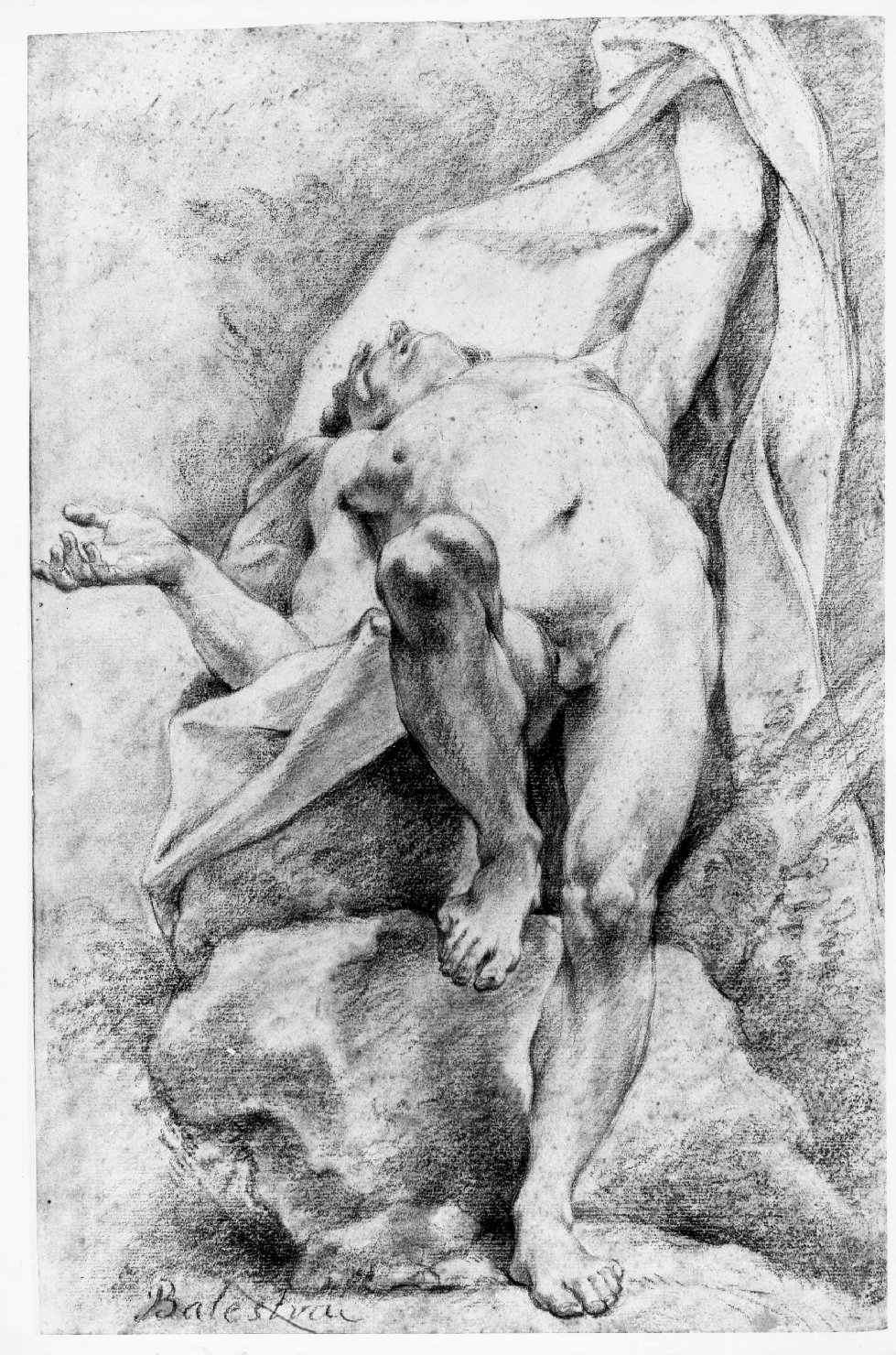 giovane nudo (disegno) di Balestra Antonio (sec. XVII)