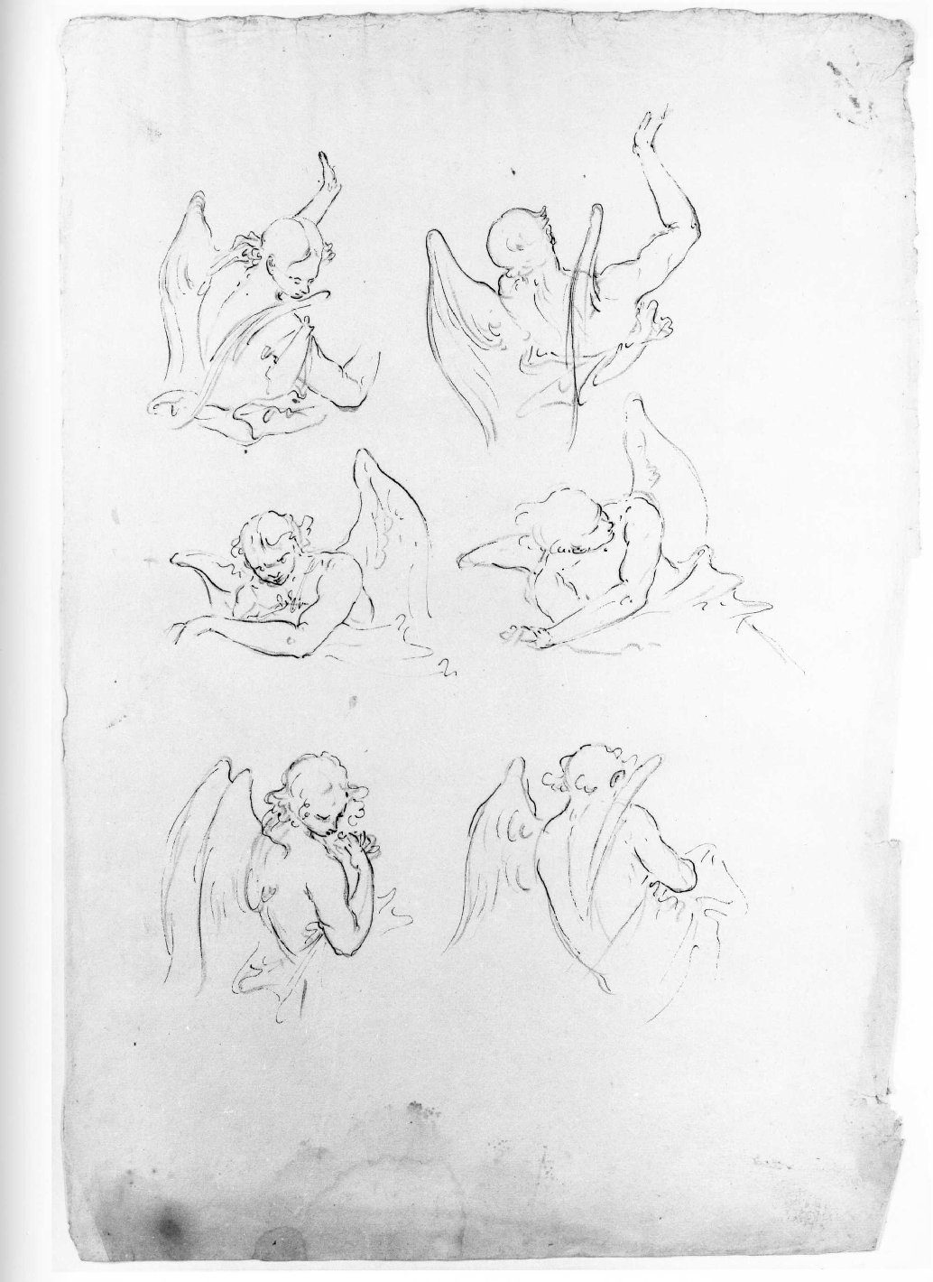 angeli (disegno) di Lorenzi Francesco (attribuito) (terzo quarto sec. XVIII)