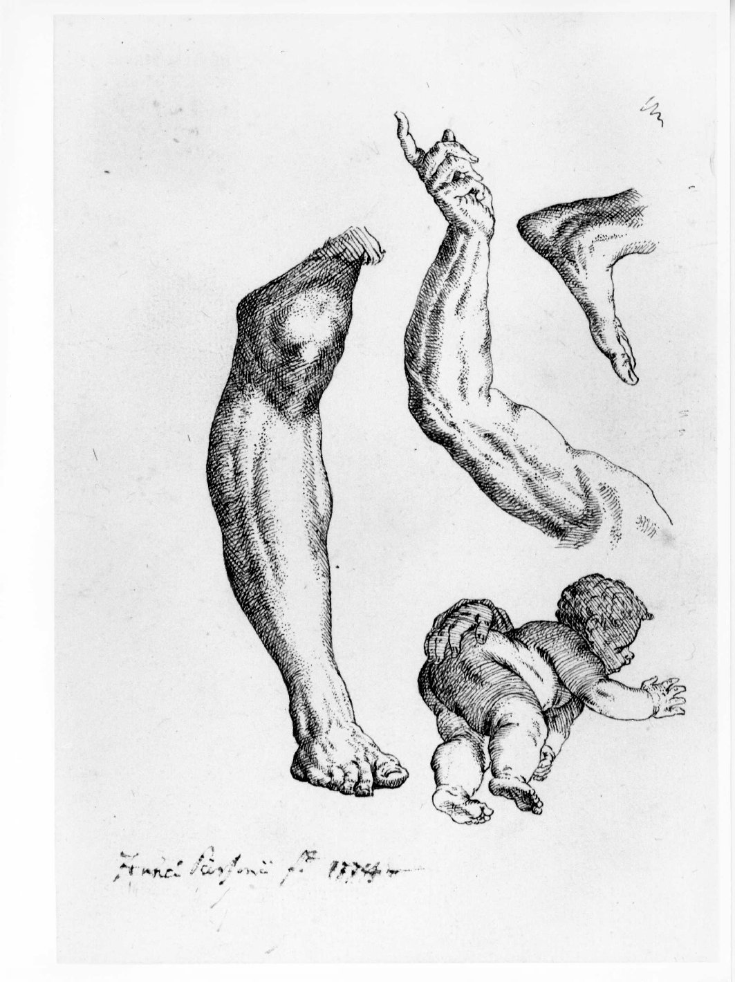 gamba, braccio, piede e putto (disegno) di Personi Francesco (sec. XVIII)