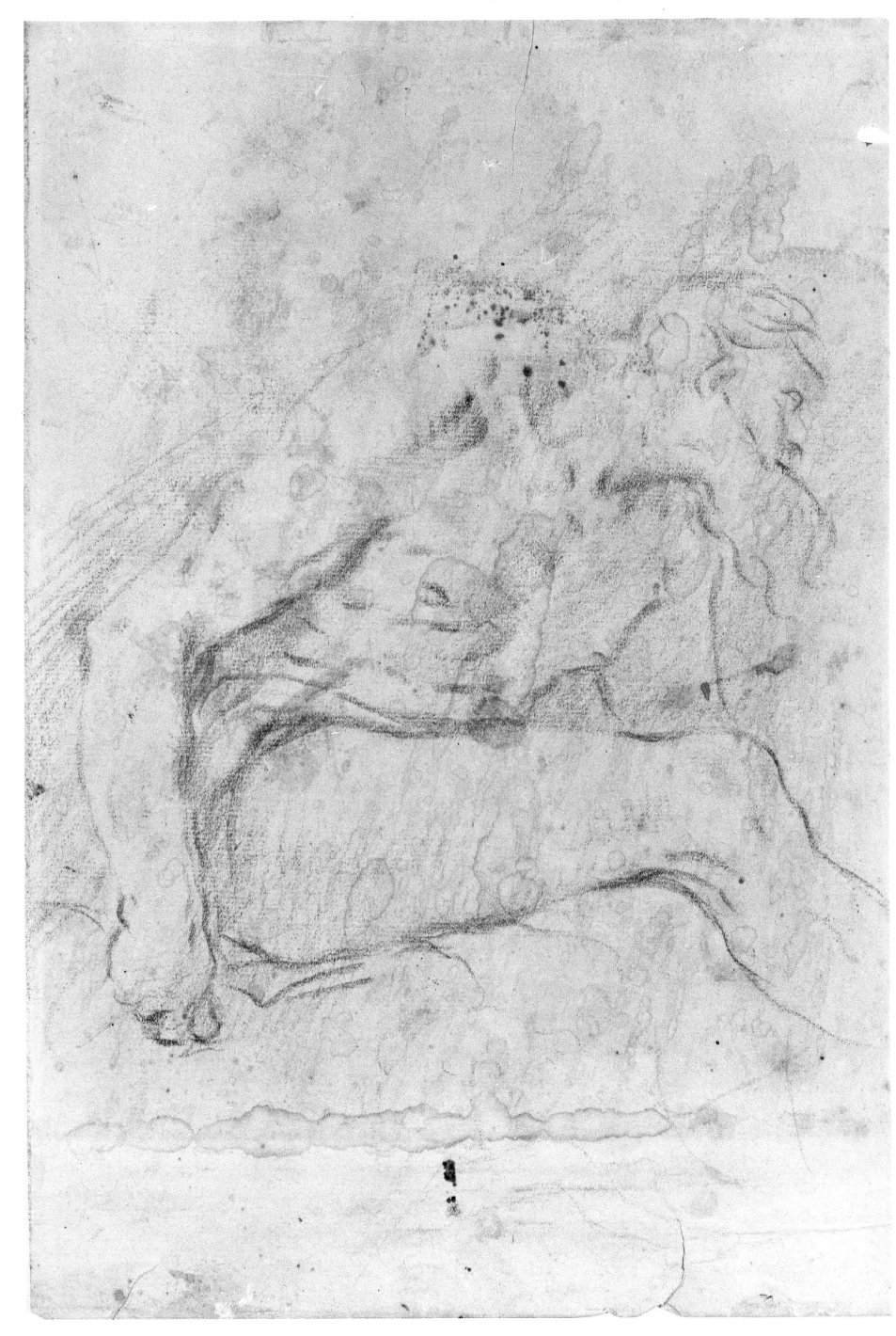 figura maschile seduta (disegno) di Bencovich Federico detto Federighetto o Dalmatino (prima metà sec. XVIII)