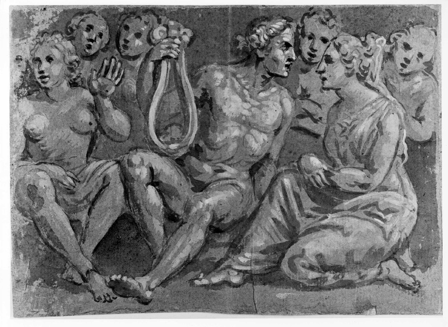 Apollo e le muse (disegno) di Marcola Marco (sec. XVIII)