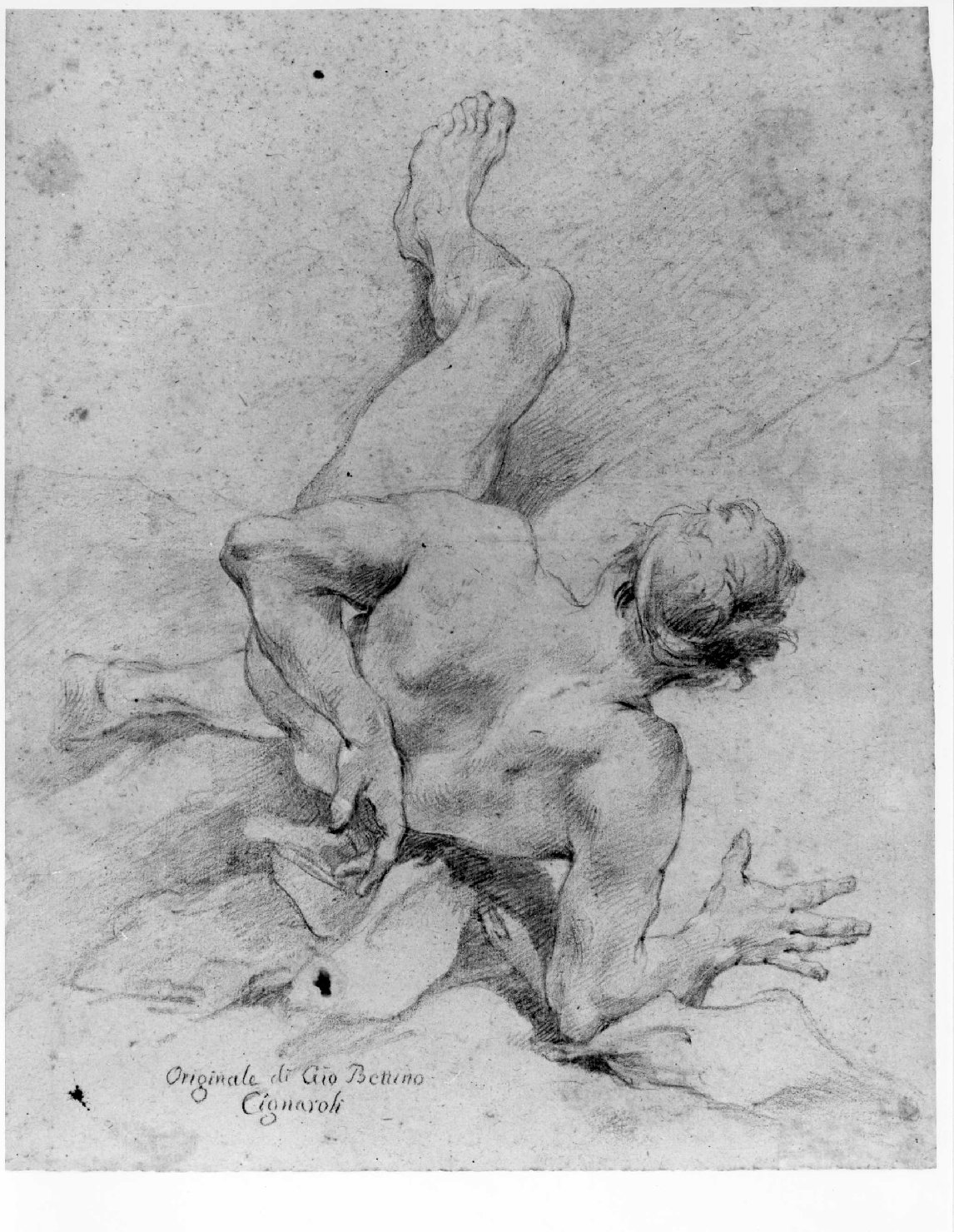 giovane nudo (disegno) di Cignaroli Giambettino (metà sec. XVIII)