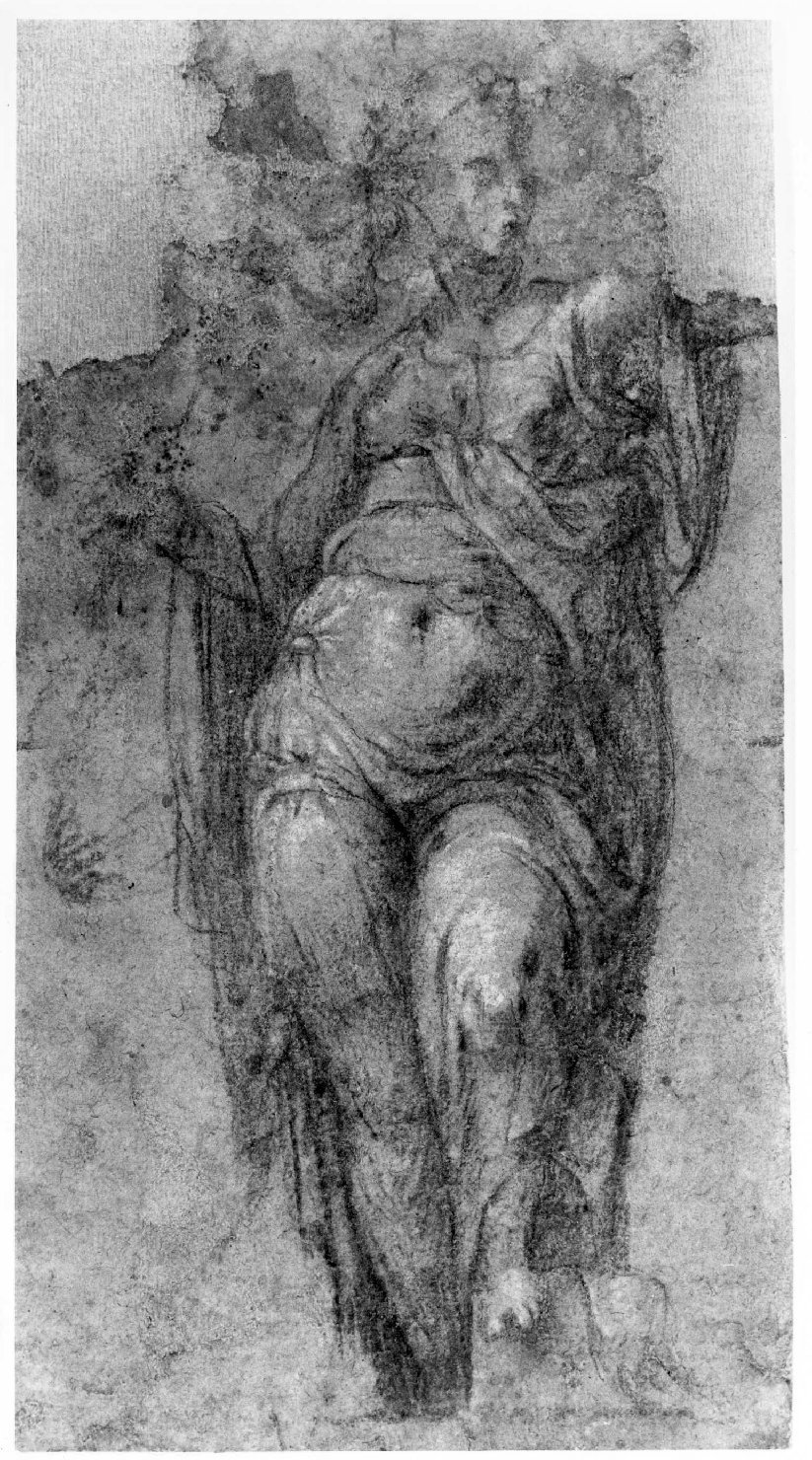 figura femminile (disegno) di Campi Antonio (seconda metà sec. XVI)