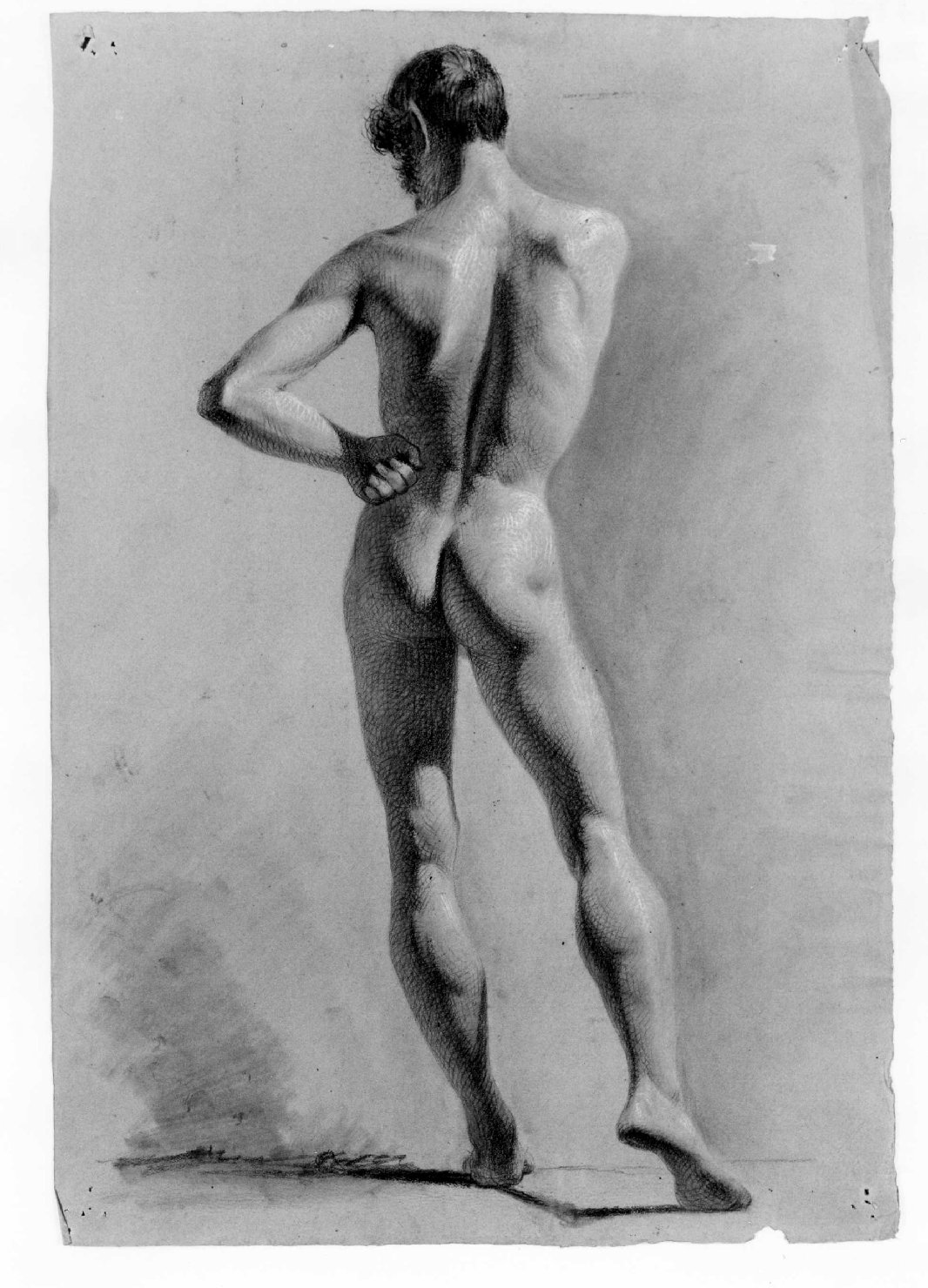 figura maschile nuda (disegno) di Recchia Angelo (metà sec. XIX)