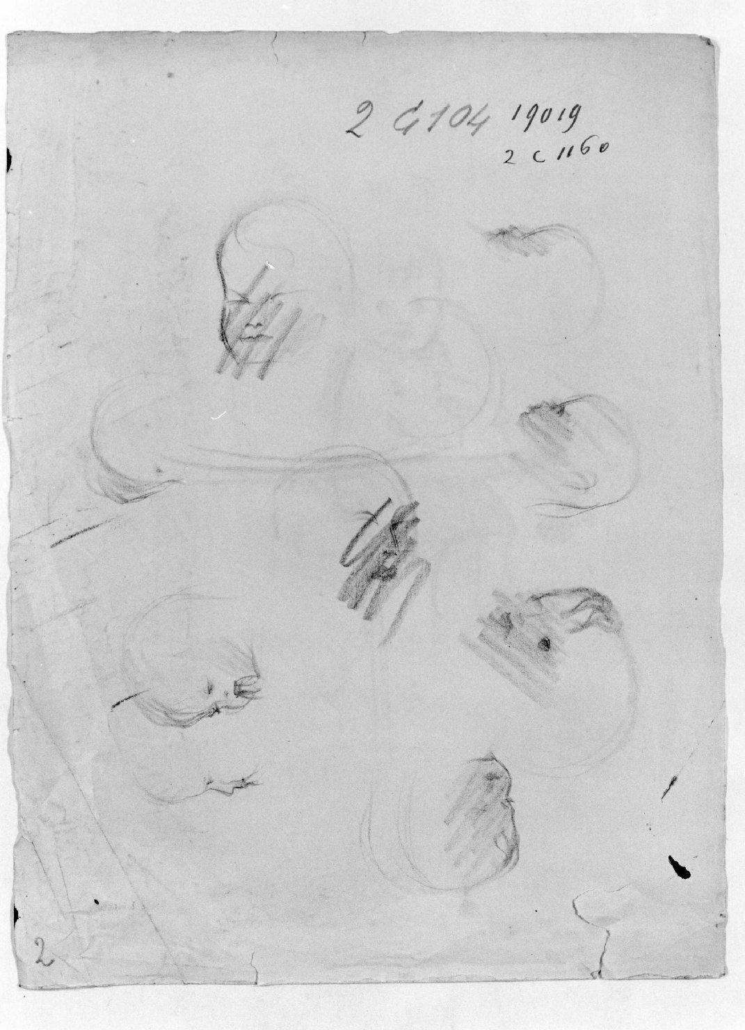 teste di bambino (disegno) di Zamboni G (sec. XX)