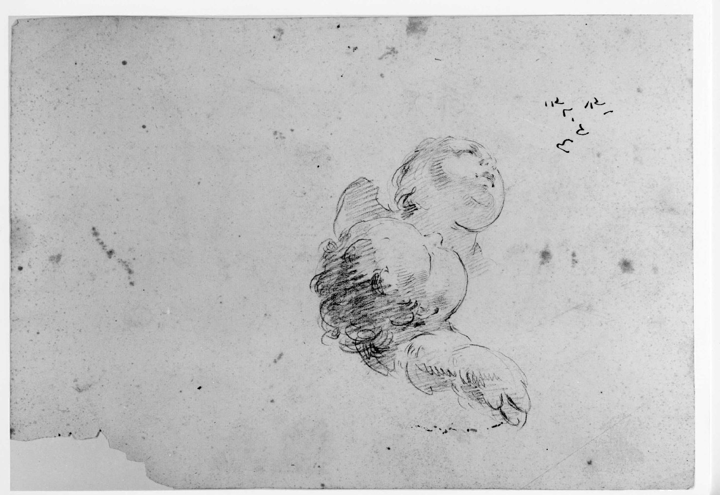 angeli (disegno) - ambito veronese (seconda metà sec. XVIII)